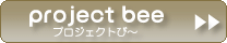プロジェクトび～